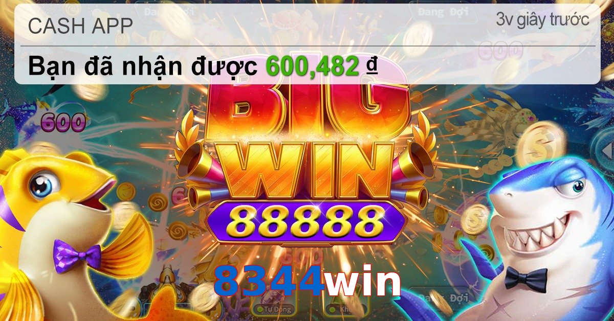 8344win