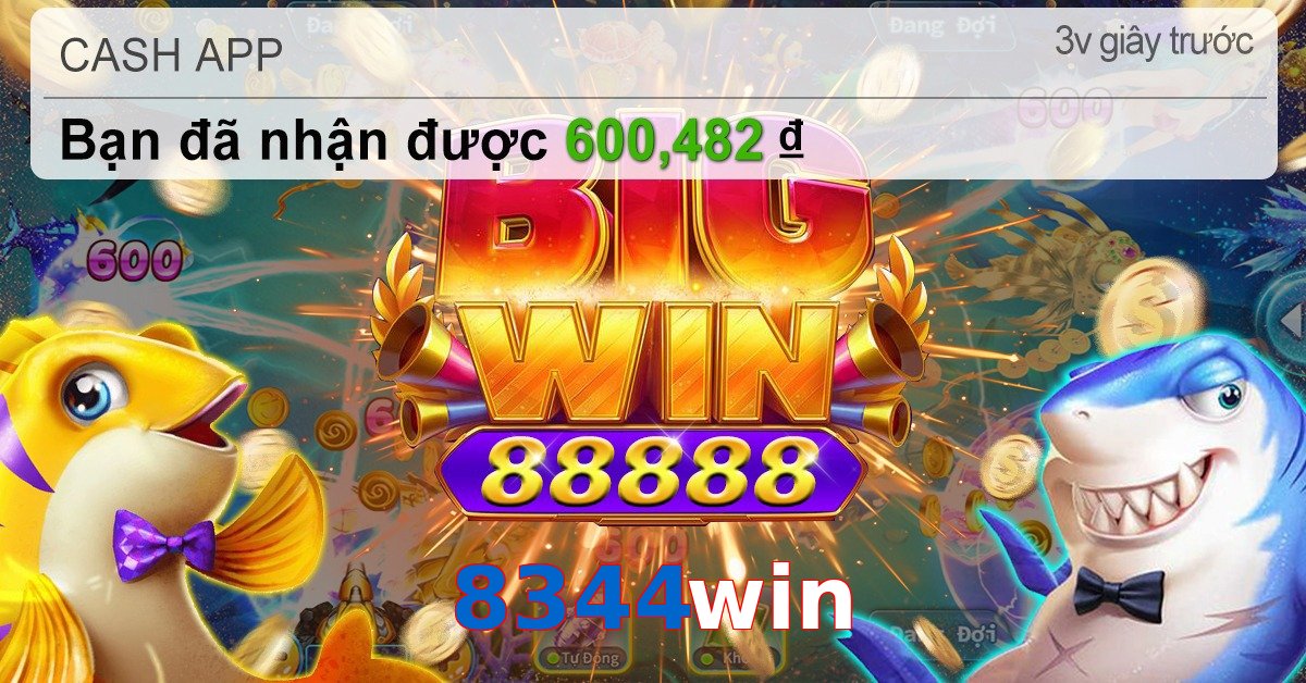 8344win